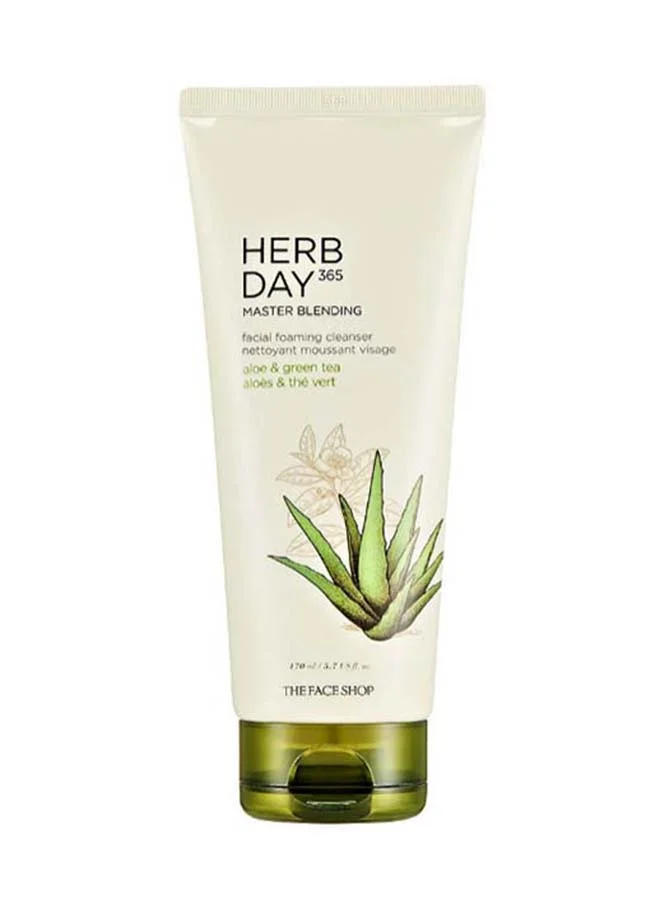 THE FACE SHOP Herb Day 365 Master Blending Foaming Cleanser Aloe & Green T